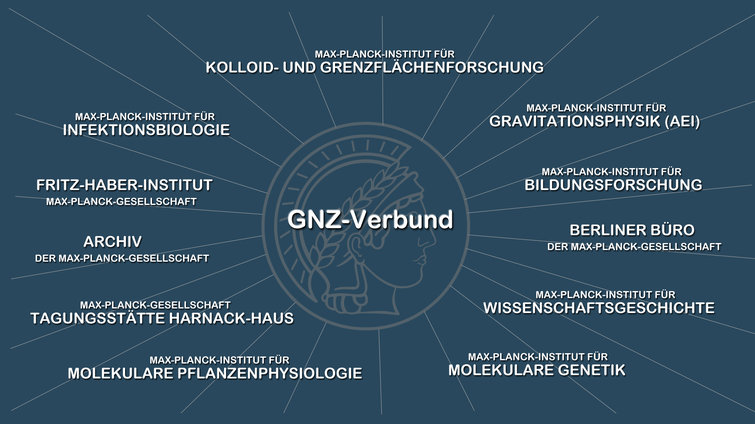 GNZ Collaboration