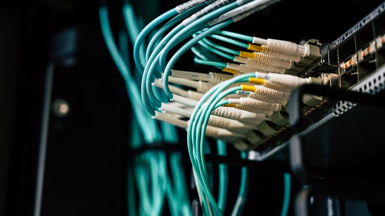 Network